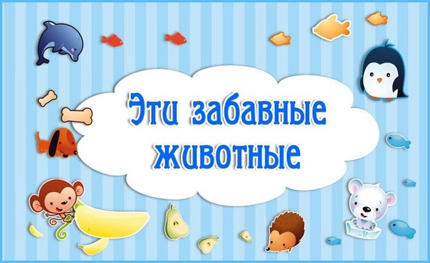 Творческий конкурс «Эти забавные животные».