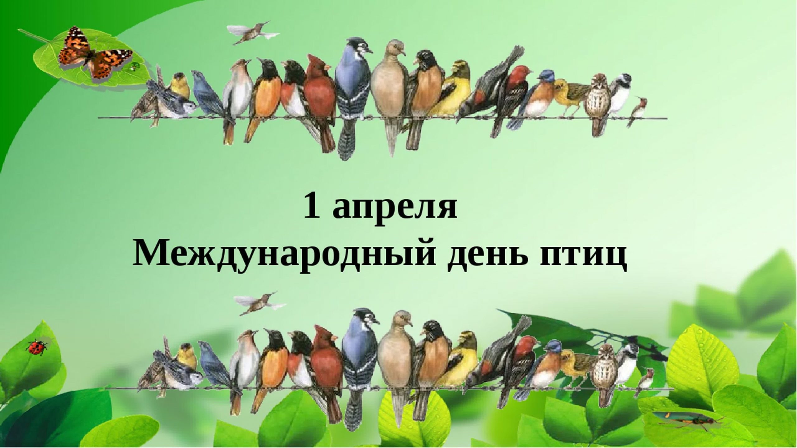 1 апреля - Международный день птиц