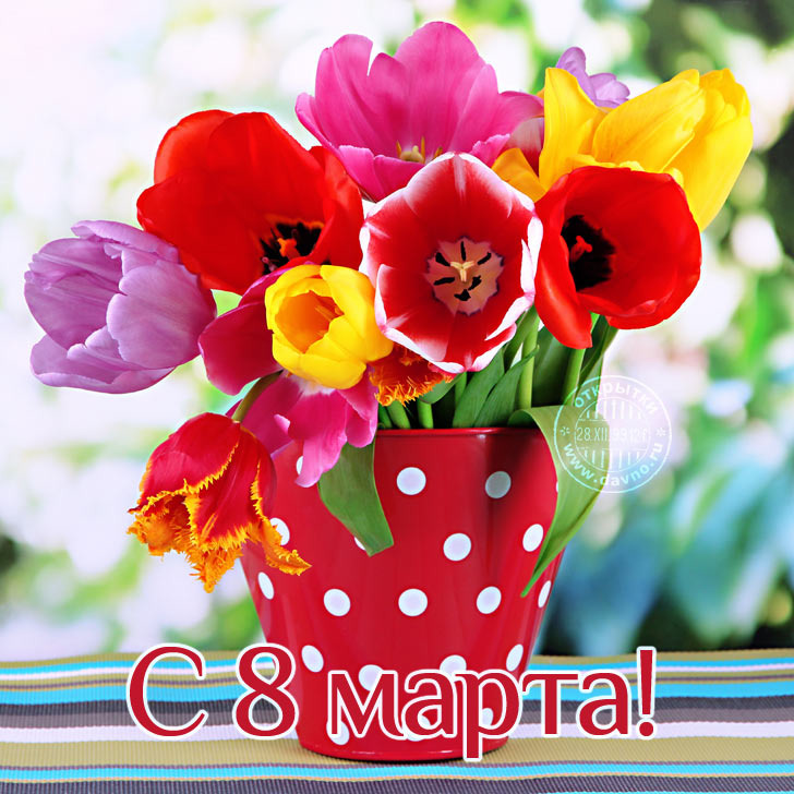 С международным женским днем 8 марта!