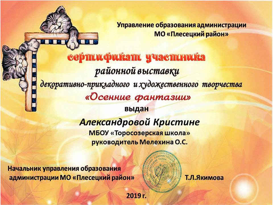 Районный конкурс творческих работ декоративно-прикладного направления «Осенние фантазии». Тема конкурса «ЗаМУРчательные кошки».